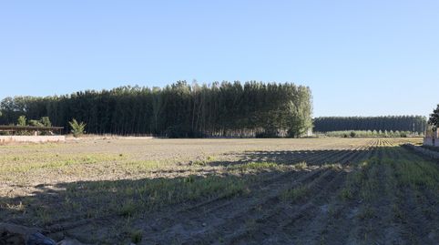 Gran finca Rústica y Urbana de 23.000 metros y construcción de 326 metros cuadrados en Fuente Vaqueros, imatge 5