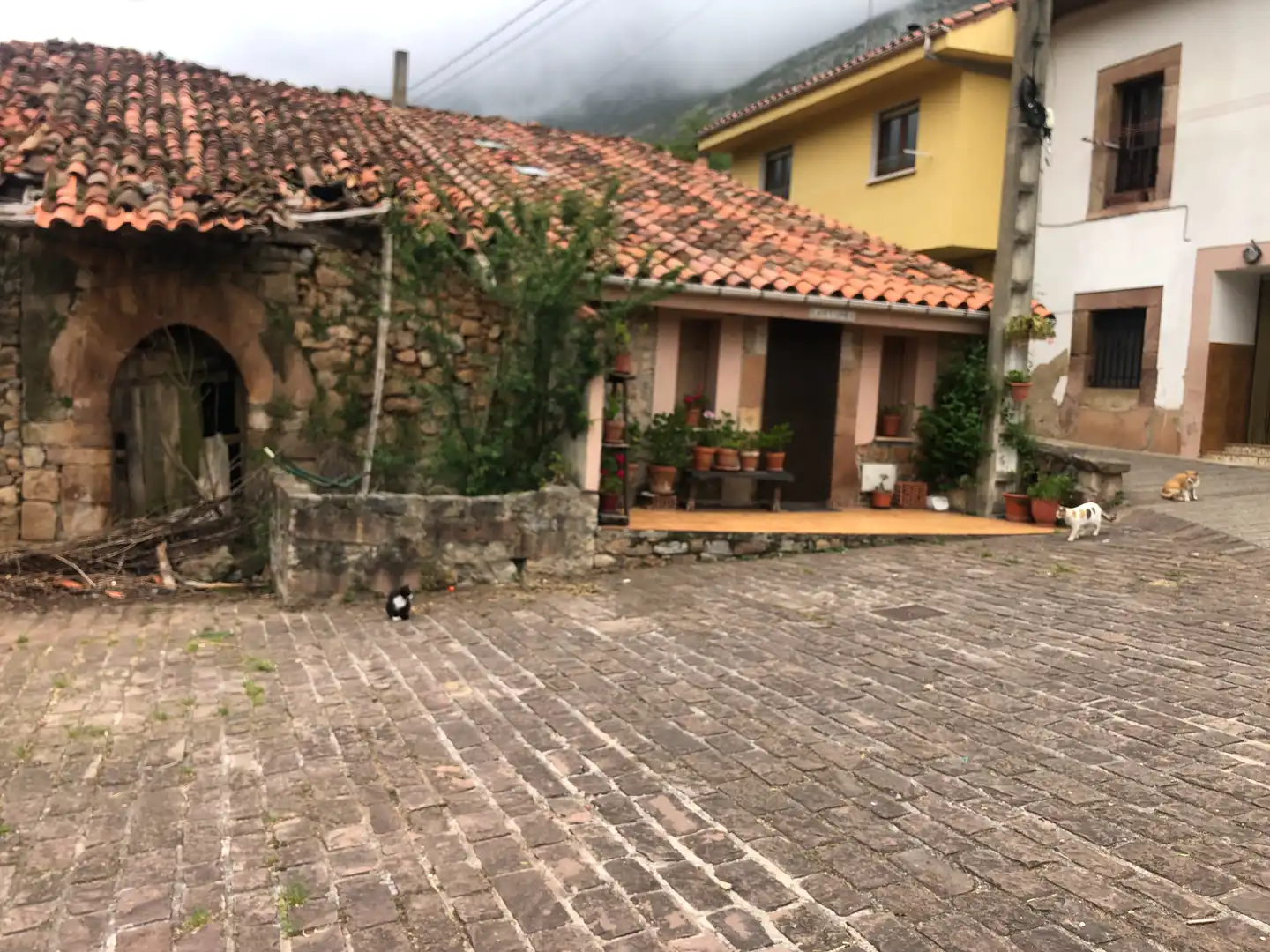Exterior view of Buildings for sale in Lamasón