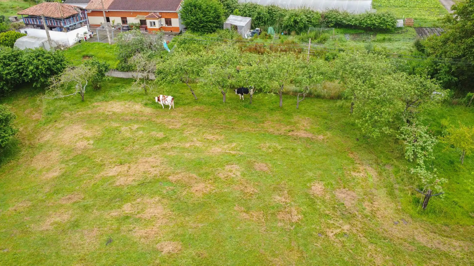 Wohnbaugrundstück zum Verkauf in Carretera CAMPANA LA 12, imagen 10