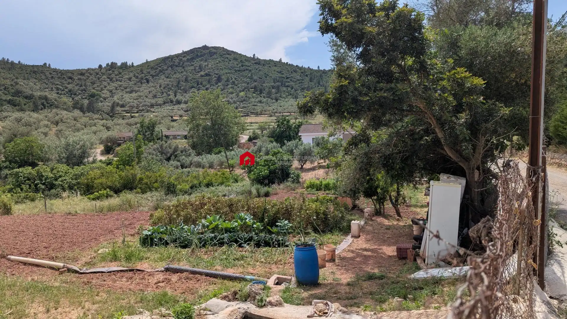 Grundstücke zum Verkauf in Alfara de Carles