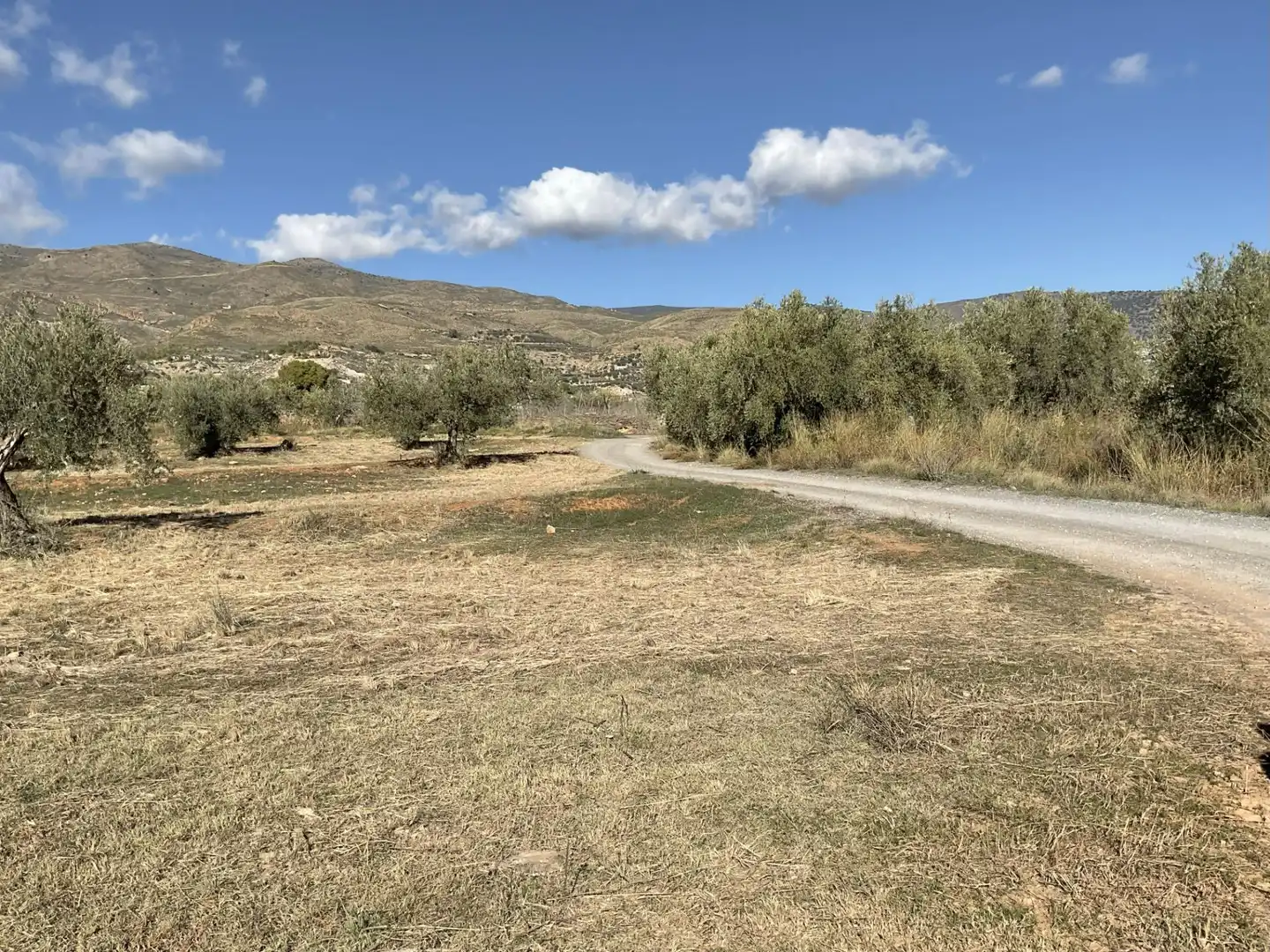 Land for sale in Padules