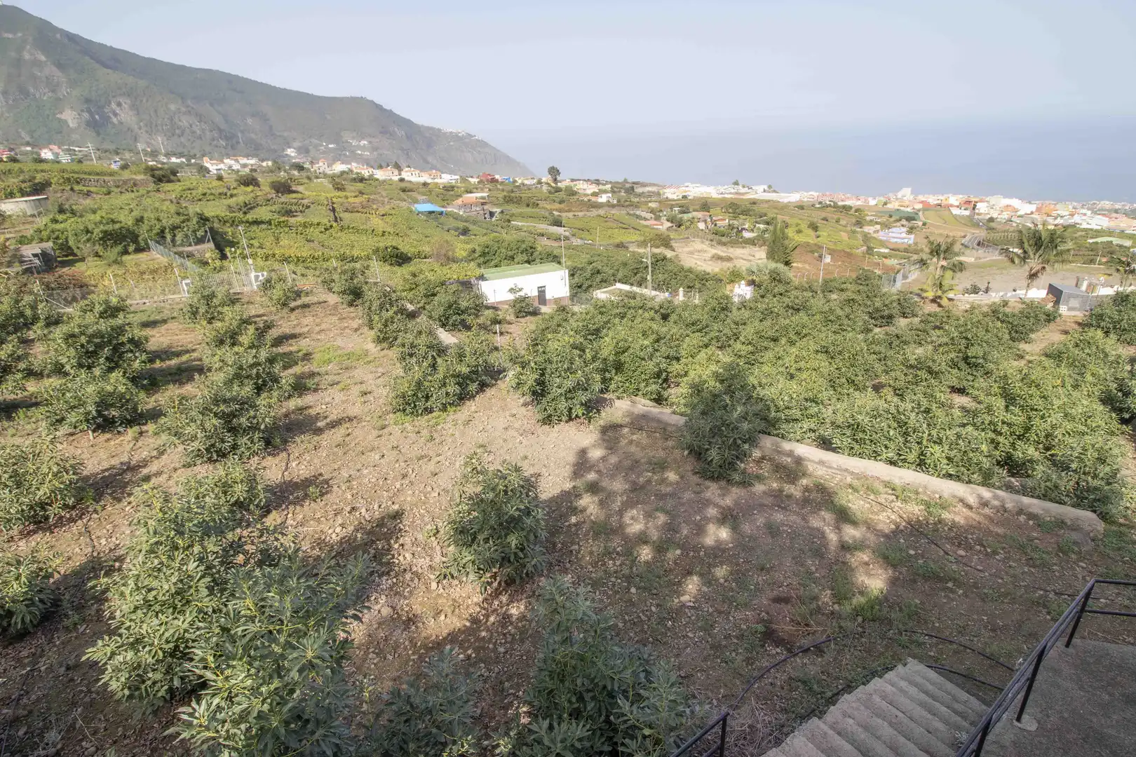 Casa o chalet en venta en Los Realejos con Jardín privado, Terraza y Trastero