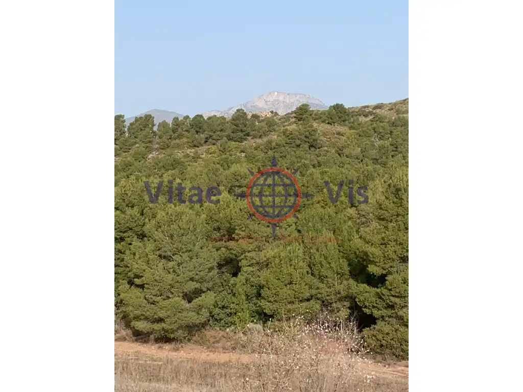 Residential land for sale in Travesia Fuensanta 01