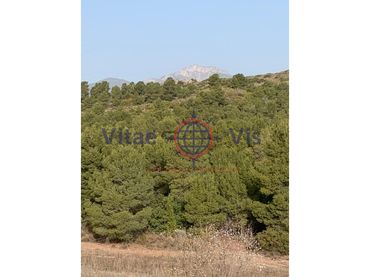 Wohnbaugrundstück zum Verkauf in Travesia Fuensanta 01