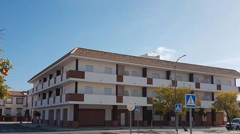 Photo 2 of Premises to rent in N/a, -1, Alcalá del Río, Sevilla