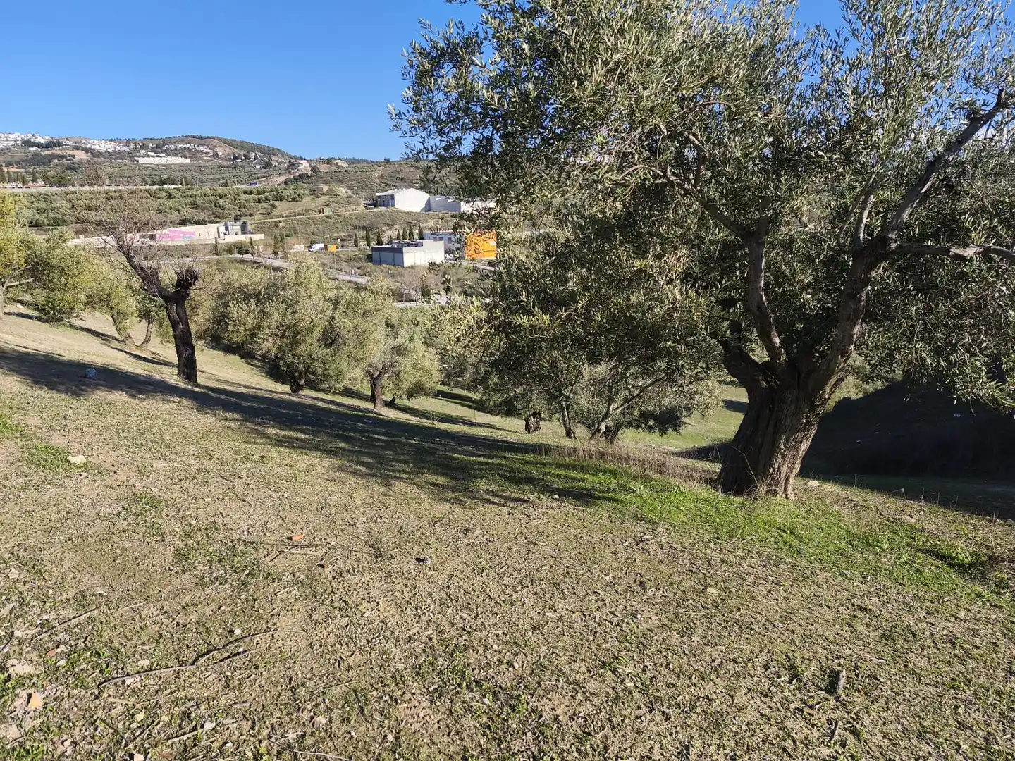 Lands and plots for sale in Alfacar, imagen 9