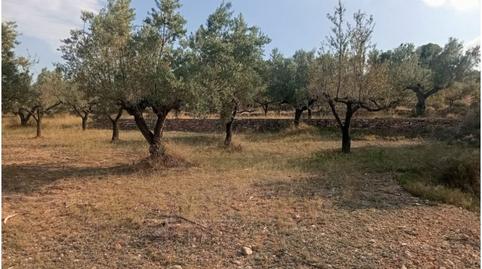 Photo 3 of Country house for sale in Altura, Castellón