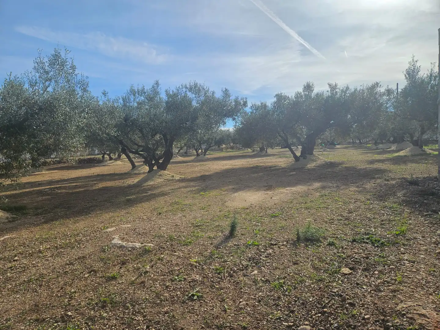 Rural land for sale in Aldover, imagen 32