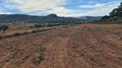 Terreno en venta en Pinoso., imagen 2