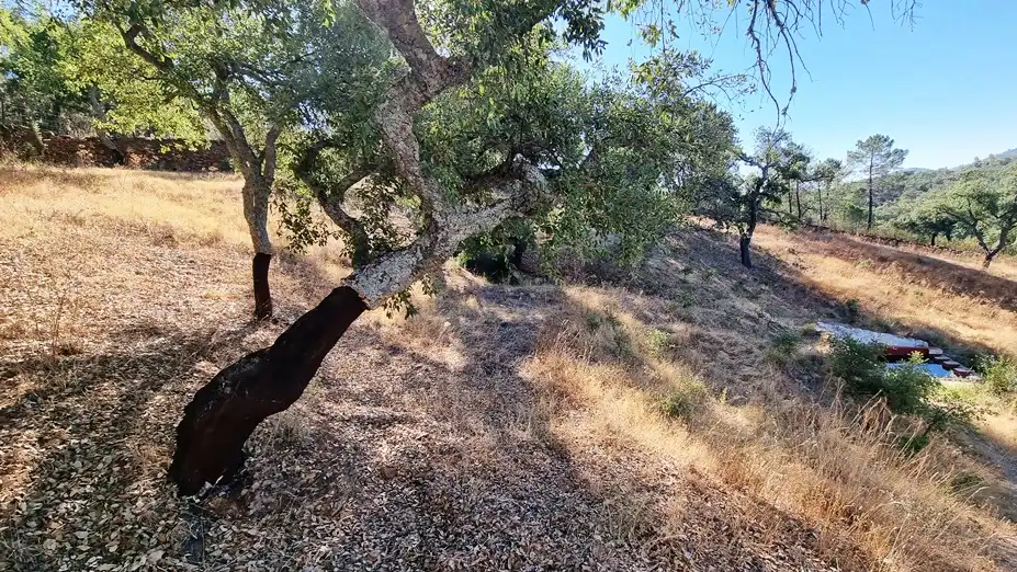 Terreni e lotti in vendita a Campofrío, imagen 9