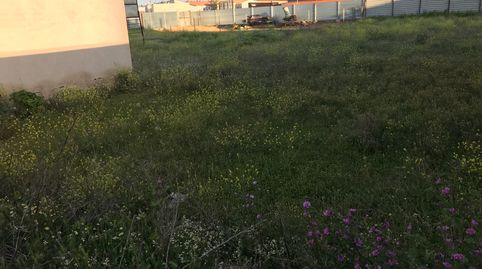 solar edificable muy bien situado, immagine 4