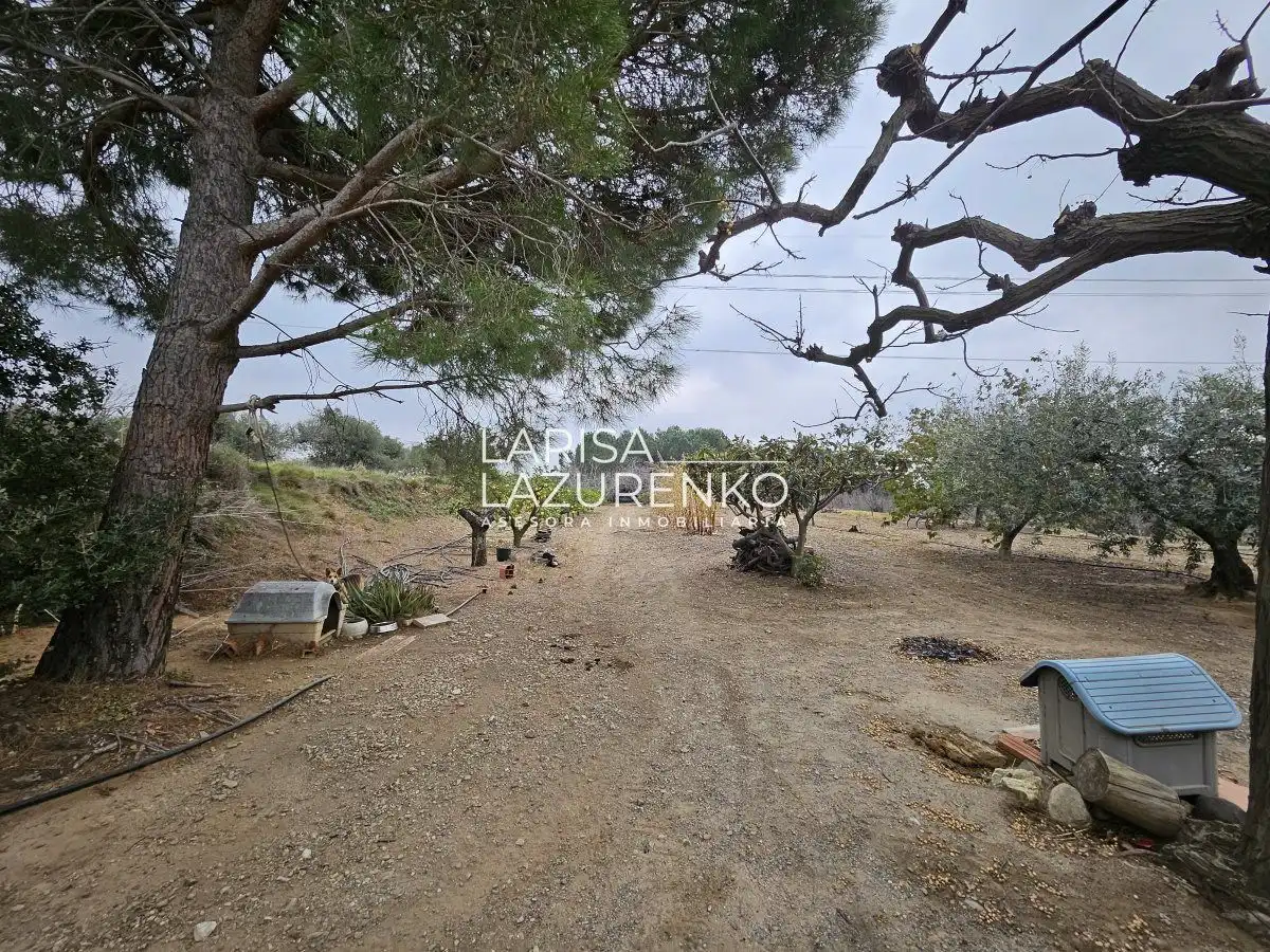 Finca rústica en venda en Riudoms