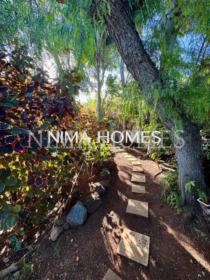 Maison avec jardin à vendre à Las Cuevas - Los Gómez, imagen 33