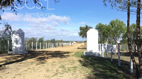 Foto 5 de Finca rústica en venda a Almonte ciudad, Almonte