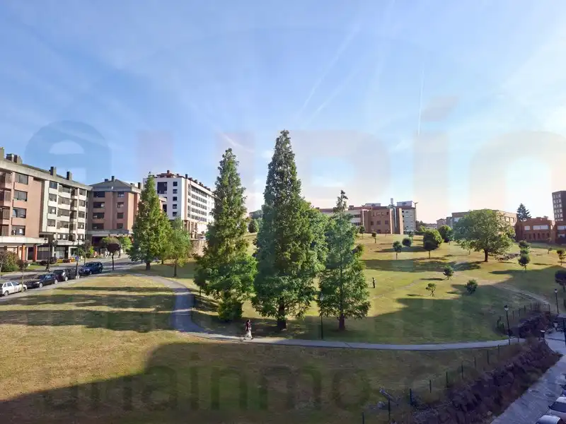 Flat for rent in Oviedo   with Heating, Storage room and Furnished