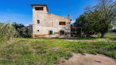 Foto 2 de Casa o chalet en venta en Son Ferriol, Palma de Mallorca