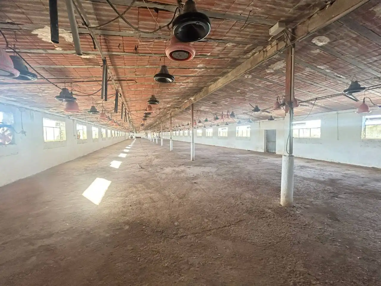 Vista exterior de Nave industrial en venta en Polán