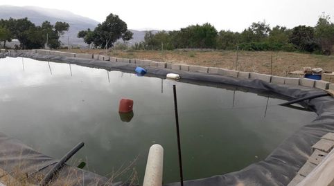 Finca rústica en venta, immagine 2