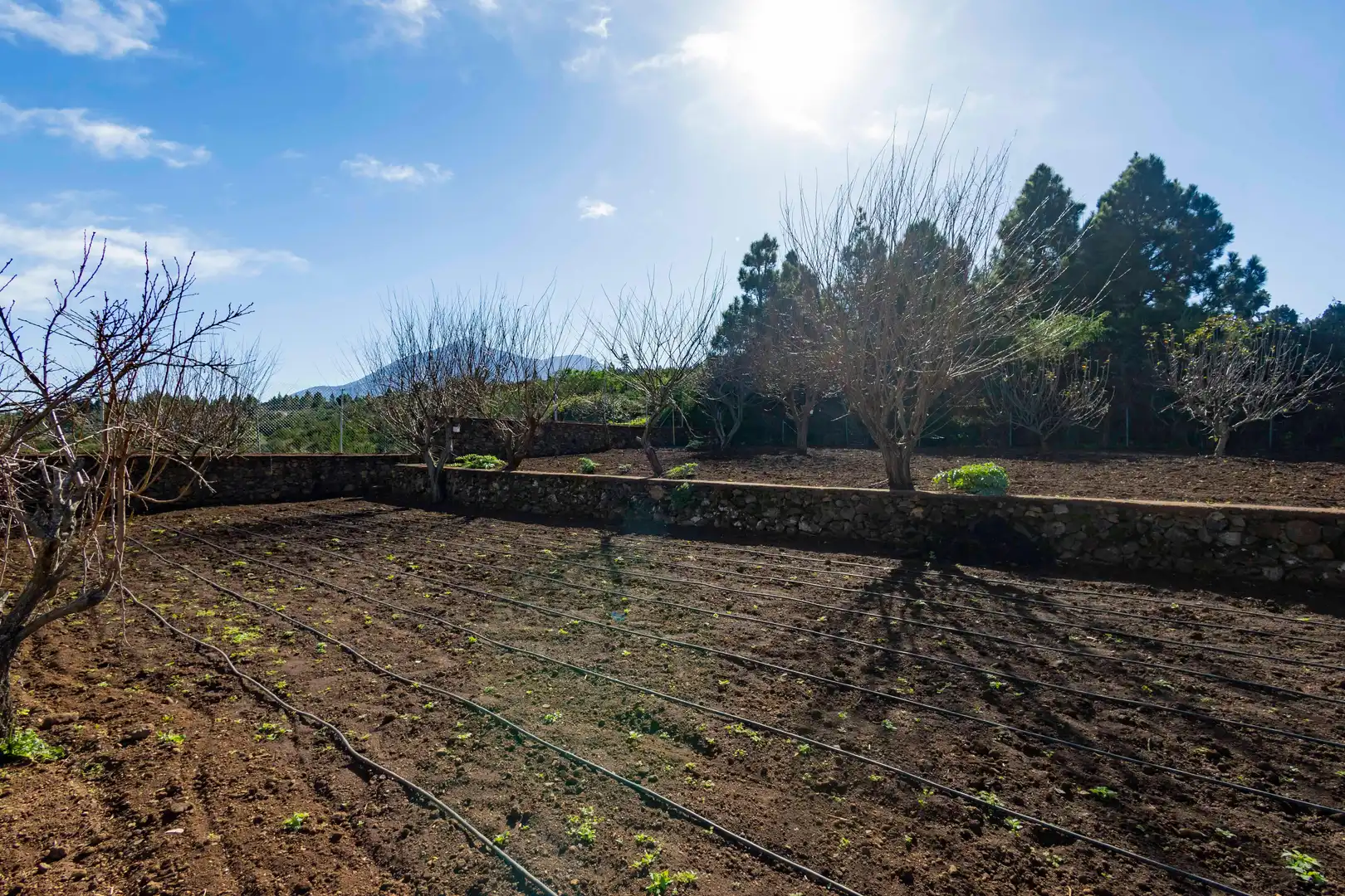 Finca rústica en venda en El Tanque amb Calefacció, Jardí privat i Terrassa