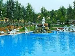 Swimming pool of House or chalet for sale in Bullas  with Air Conditioner, Private garden and Parquet flooring