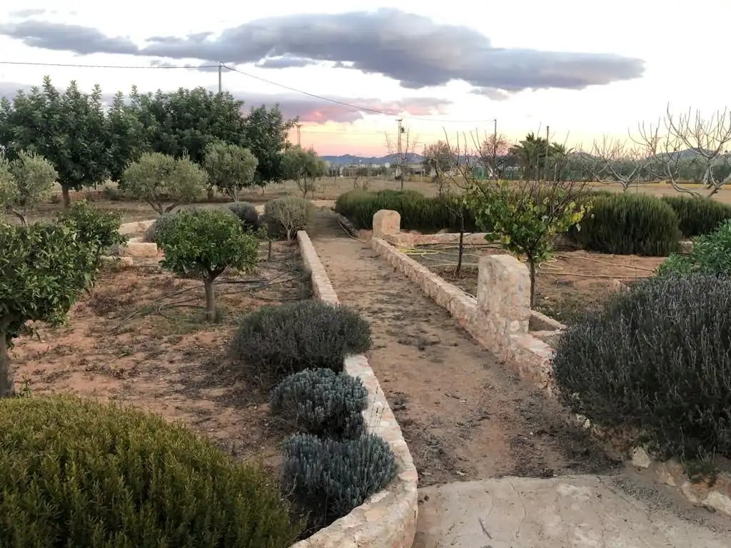 Casa con giardino in affitto a Pedanías Oeste, imagen 18