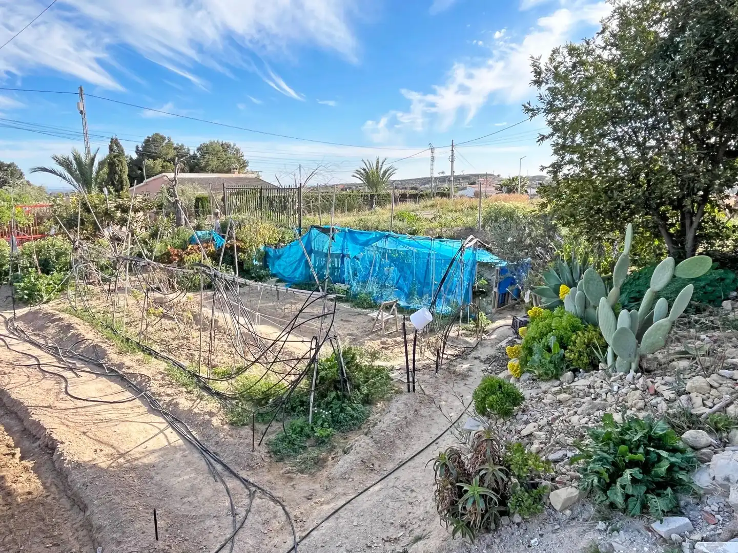 Finca rústica en venta en Elche / Elx con Terraza