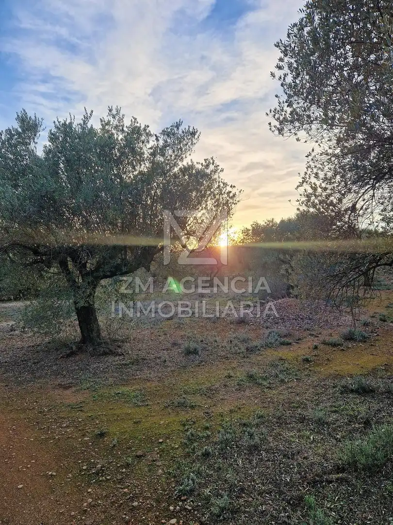 Casa rústica en venta en Ulldecona