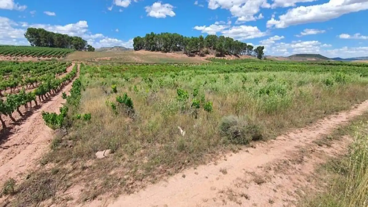 Residencial en venda en Azofra