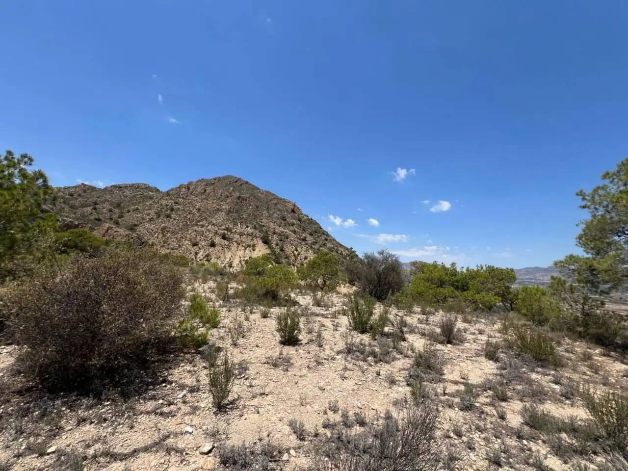 Finca rústica en venda en Alicante / Alacant