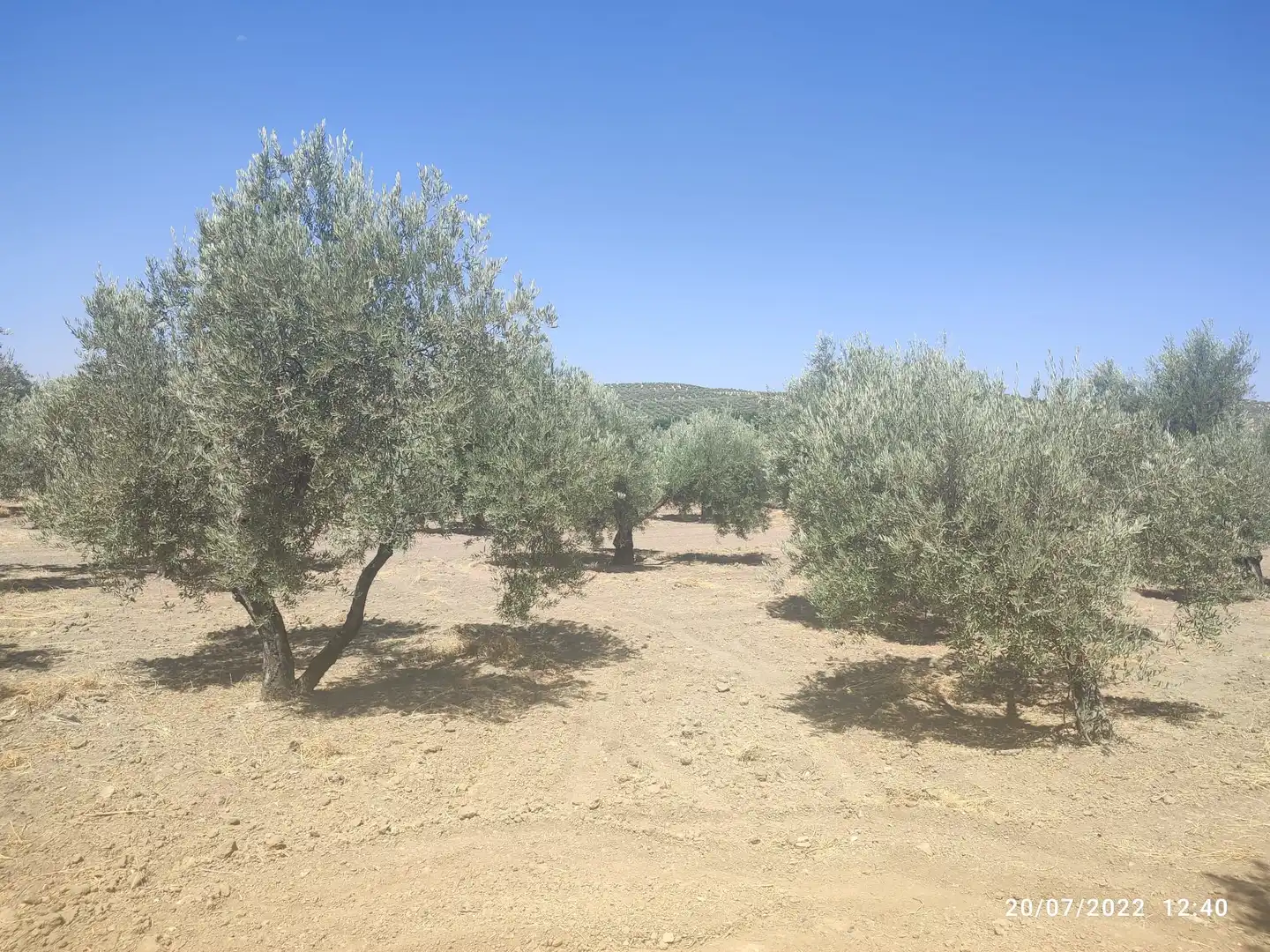 Rustikales Grundstück zum Verkauf in Cañete de las Torres