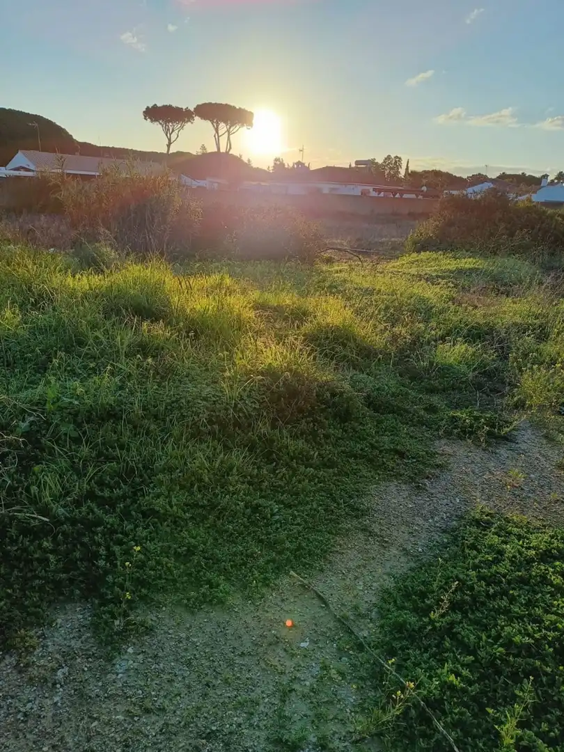 Casa o xalet en venda en Chiclana de la Frontera