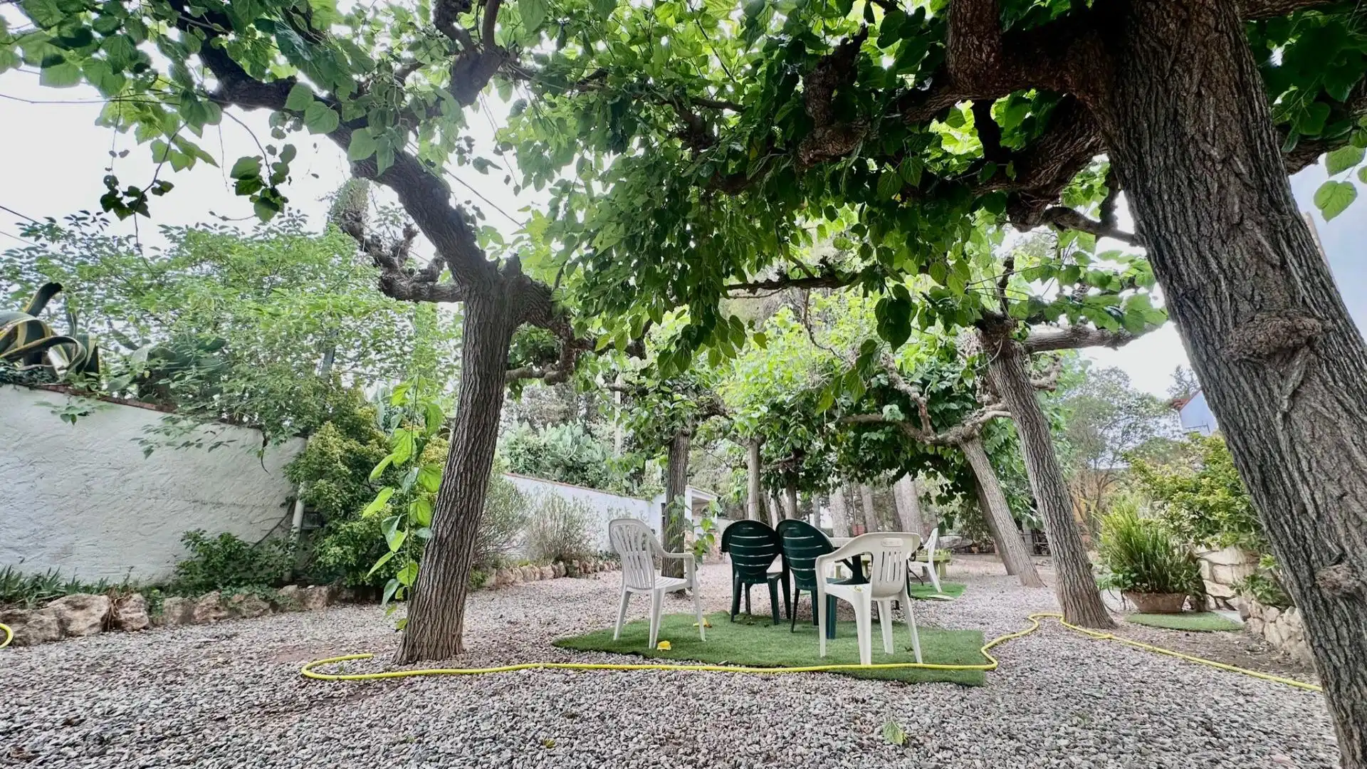 Jardín de Casa o chalet en venta en Vallmoll con Calefacción, Jardín privado y Terraza