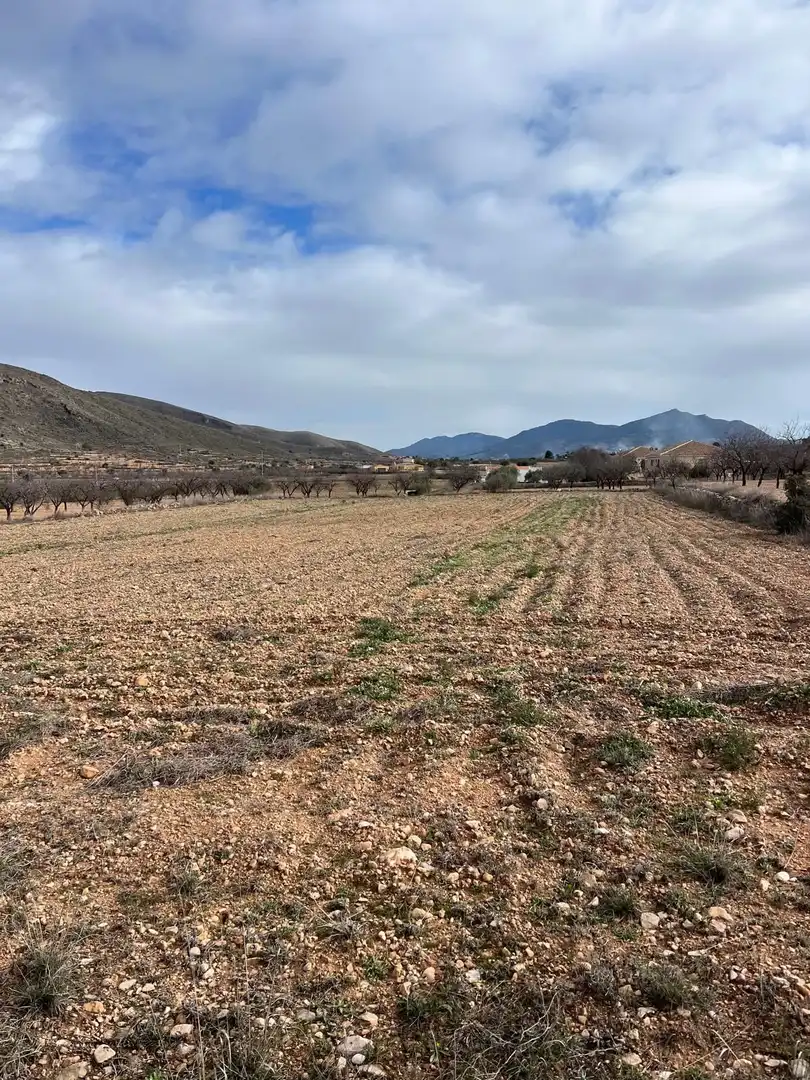 Residencial en venta en Hondón de los Frailes
