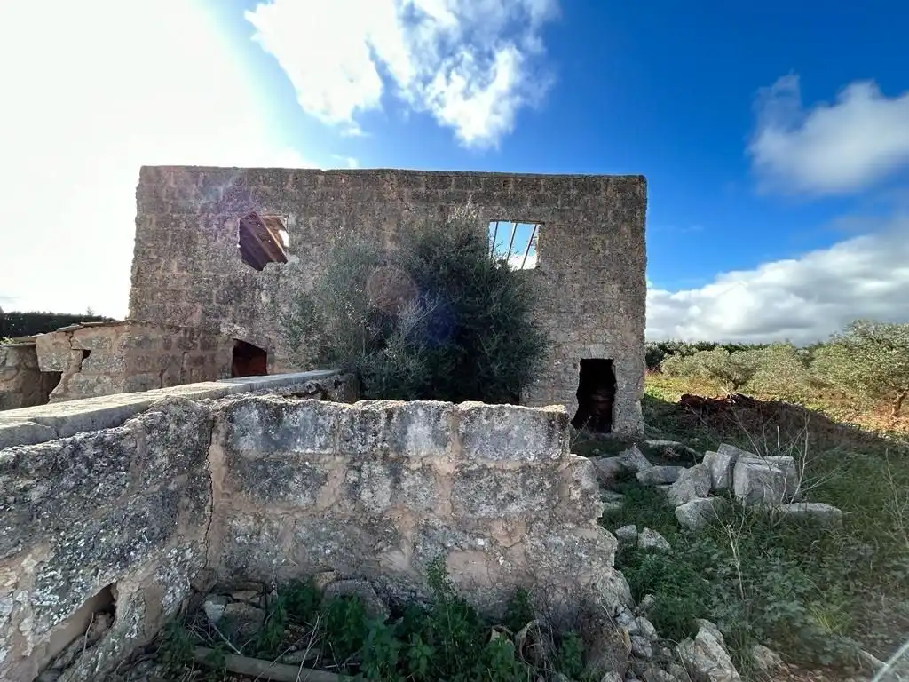 Terreno rústico en venta en Sa Pobla, imagen 4