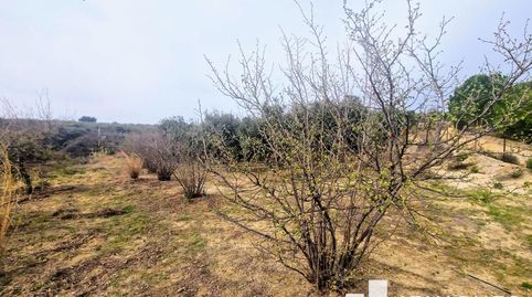 Photo 5 of Land for sale in El Racó - Sant Feliu del Racó, Castellar del Vallès
