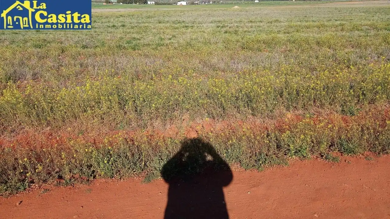 Terrenys i solars en venda a Almagro, imagen 6