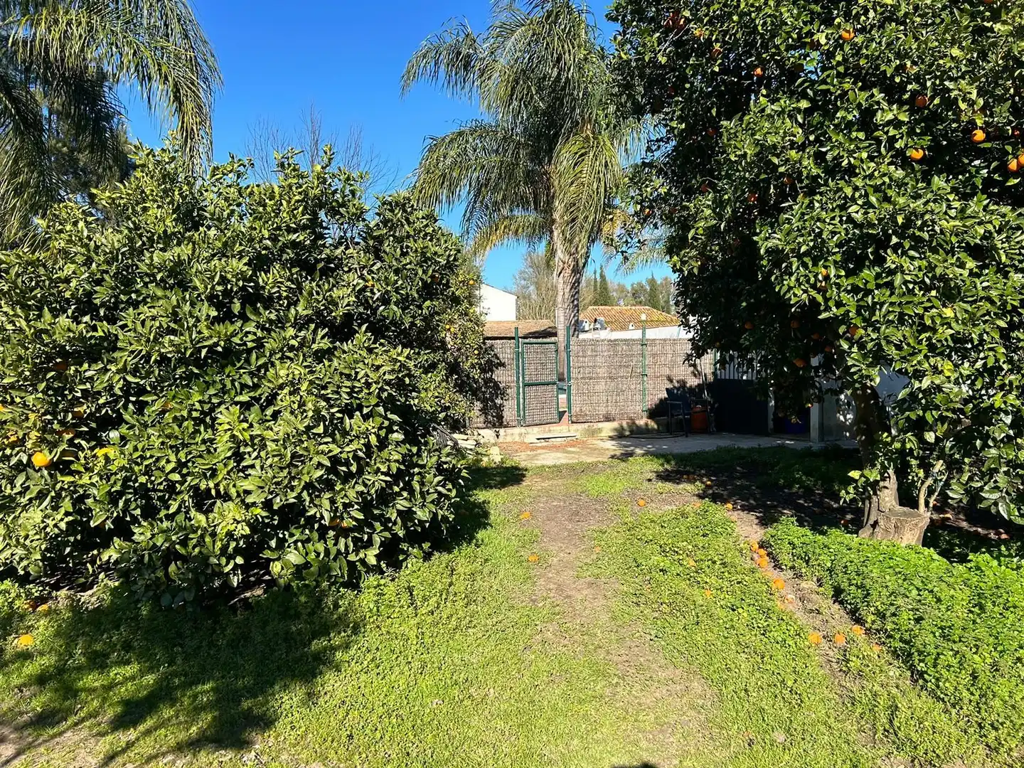 Casa rústica amb jardí en venda a Calle Pasada de Alcalá, imagen 3