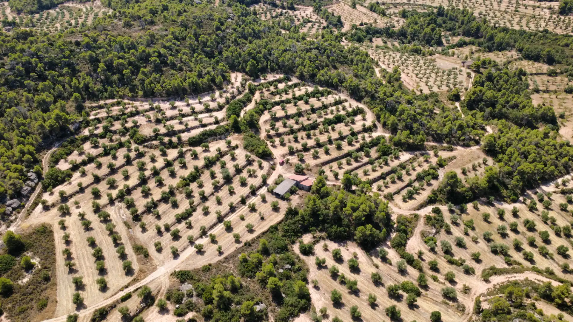 Terreno en venta en Cervià de Les Garrigues