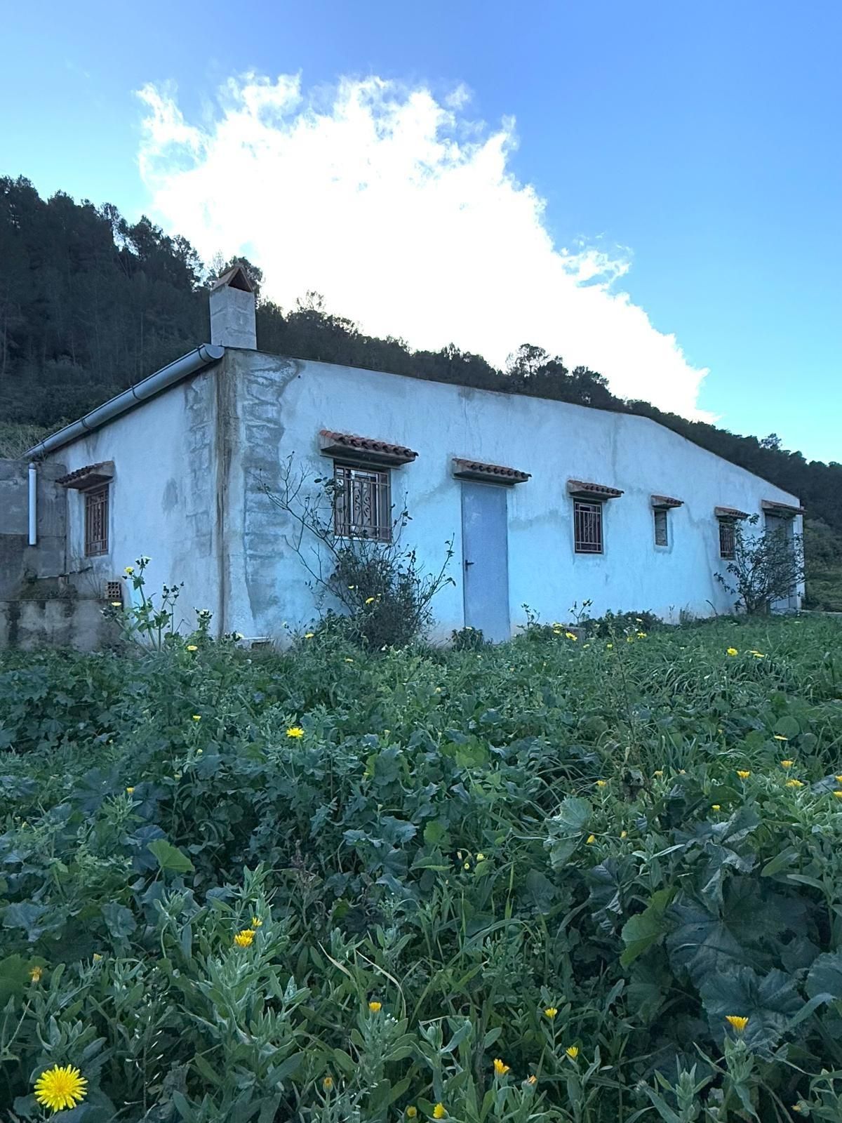 Exterior view of Residential for sale in Benifallet