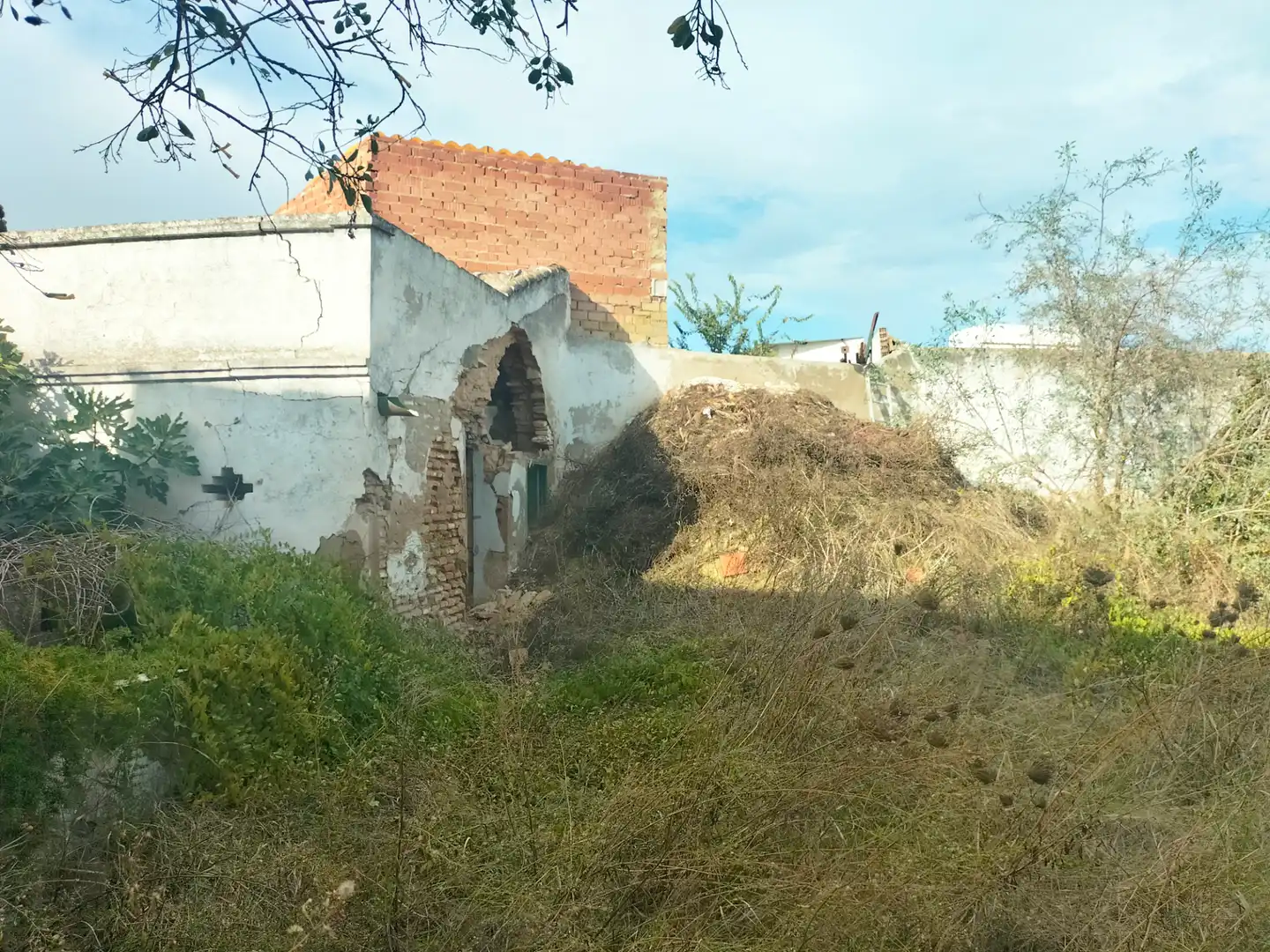 Maison avec terrasse à vendre à Olivares, imagen 12