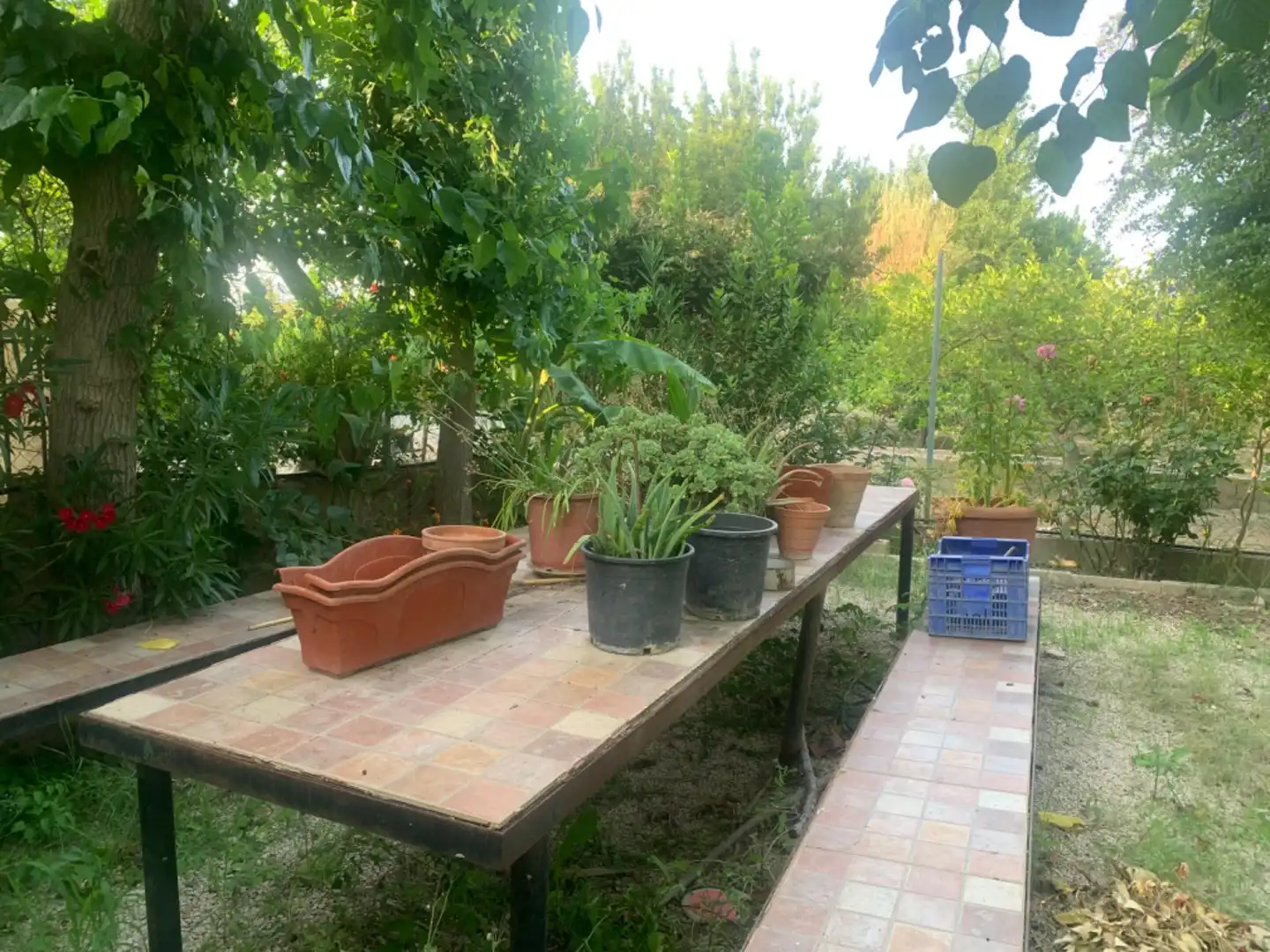 Finca rústica en venda a Alquerías