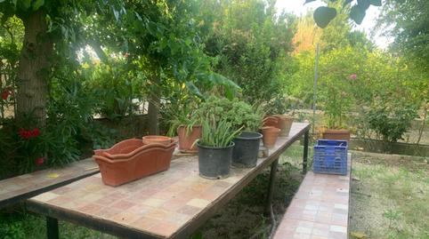 Foto 5 de Finca rústica en venda a Alquerías, Murcia