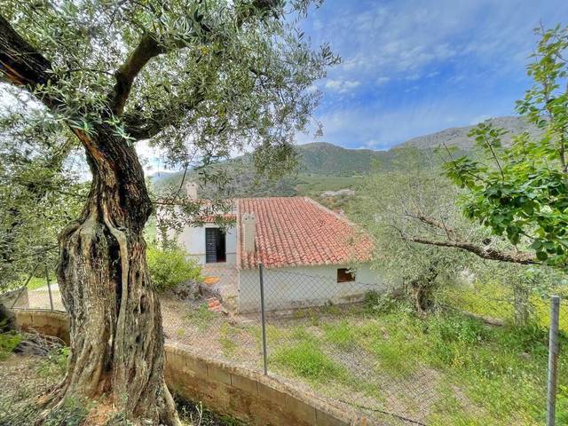 Finca rústica en Venta en Periana