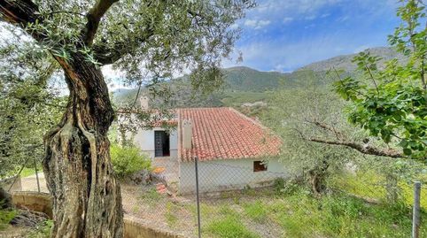Foto 2 de Finca rústica en venta en Periana, Málaga