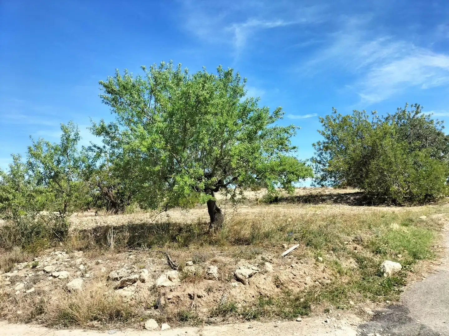 Terreno rustico in vendita a Polígono 10 Parcela 488 LA LOMA. NAVARRES (VALENC, imagen 9