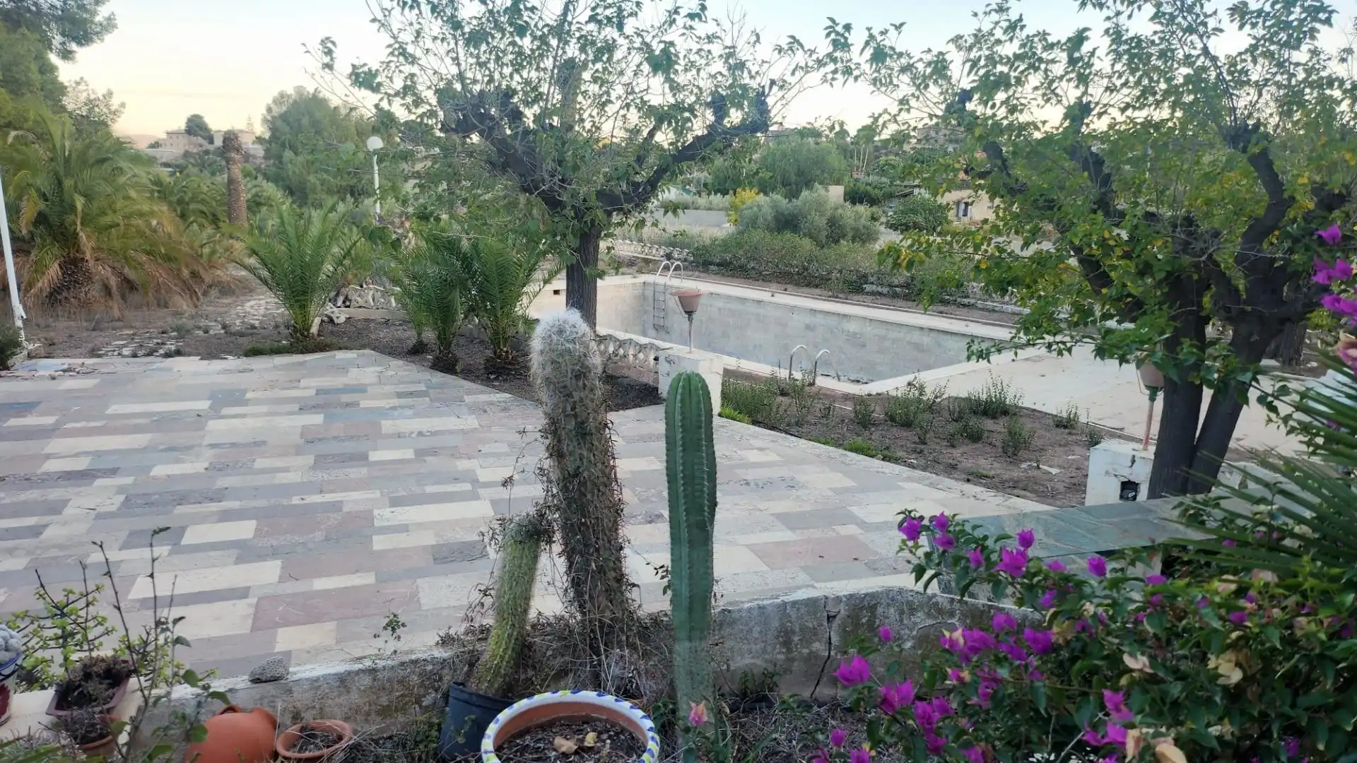 Xalet amb piscina en venda a Novelda