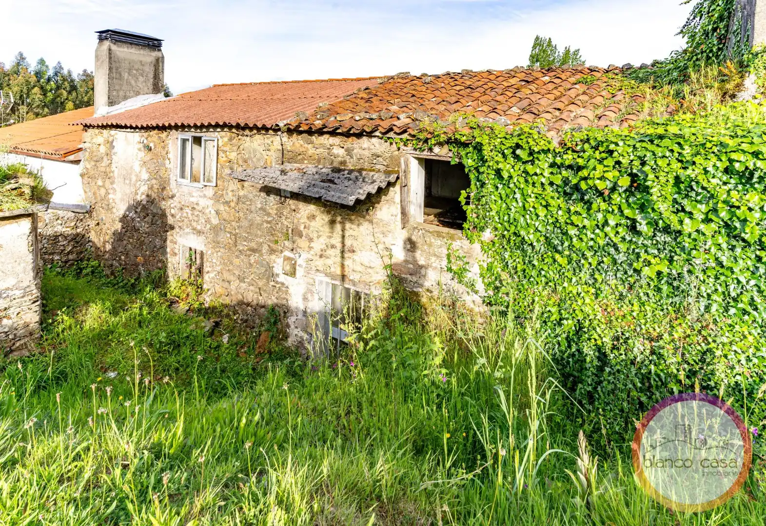 Exterior view of Houses for sale in Carballo