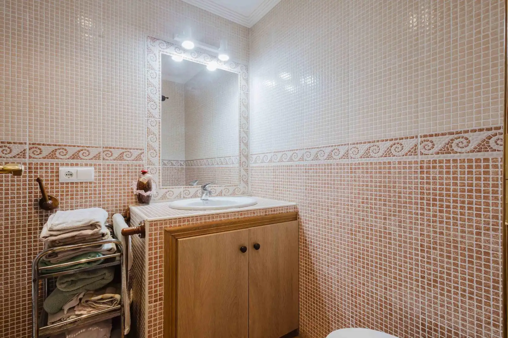 Baño de Apartamento en venta en Torrevieja con Jardín privado