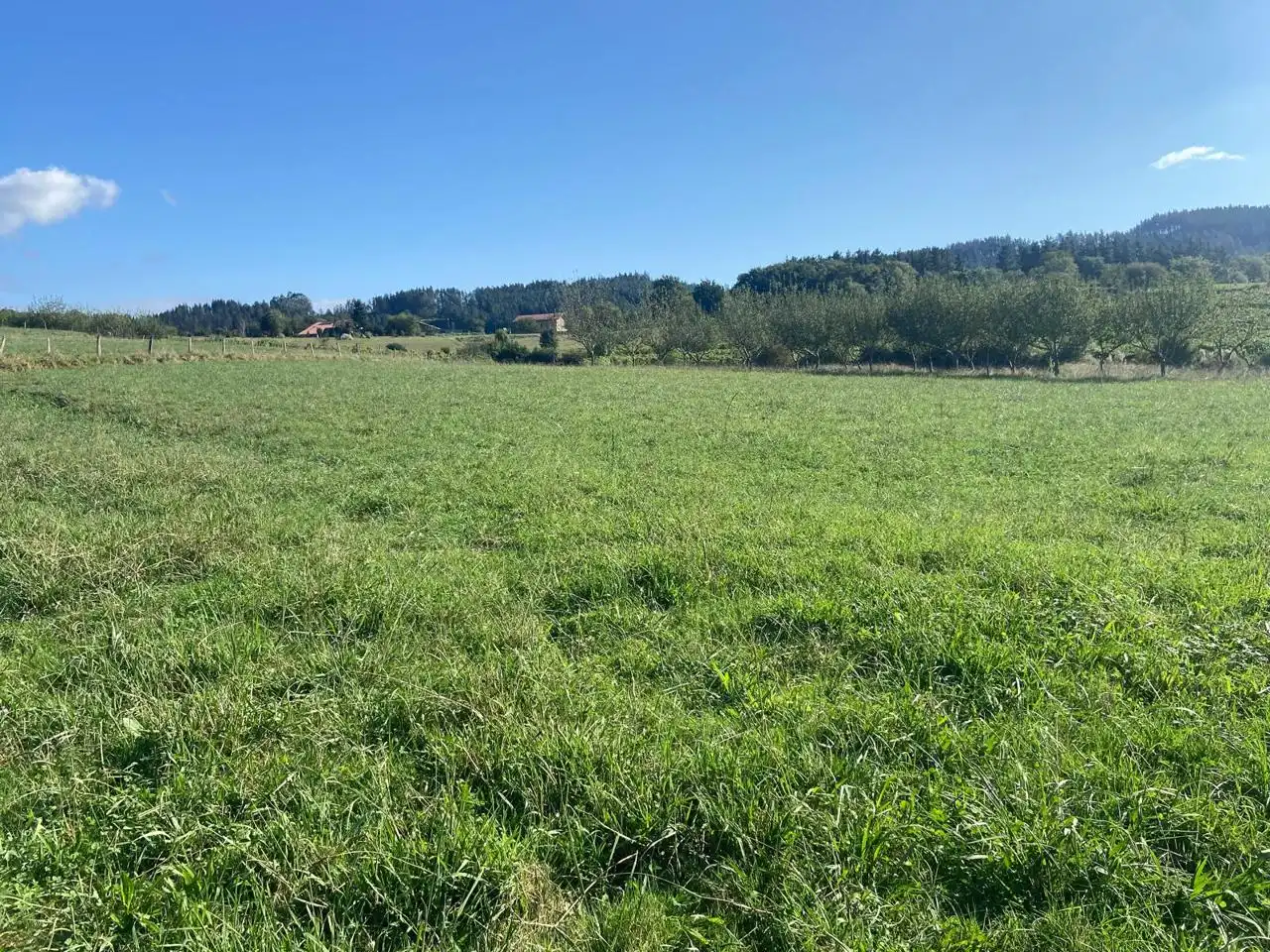 Terreni e lotti in vendita a Barrio Gaztelua, imagen 10
