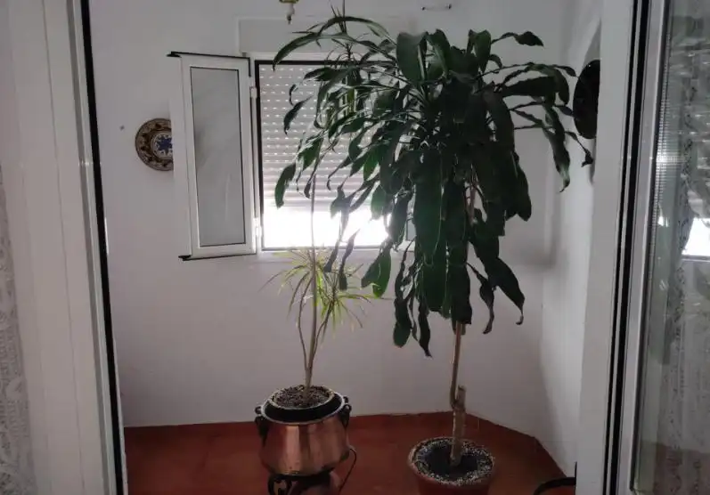 Flat for sale in La Caleta - La Viña, imagen 21